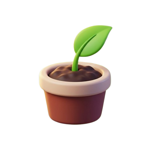 Seedling